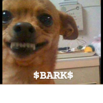 $BARK$