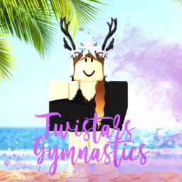 Twistars Gymnastics V1 | Main Gym