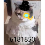 Usersgetrobux