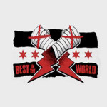 Cm Punk - Best In The World