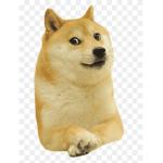 Doge Fan!