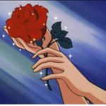 Aesthetic~Roses