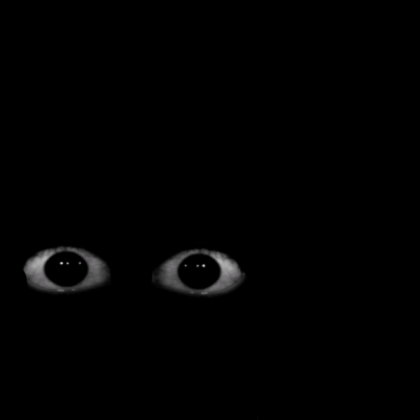 scary eye ball Roblox decal