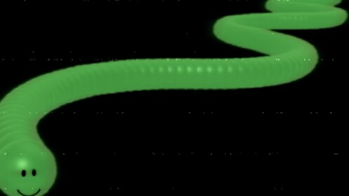 🐍[S92]-[Teleports]🐍