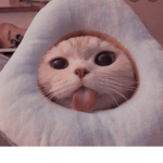 Aesthetikjsk