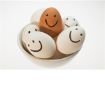 #### United! (Eggs United!)
