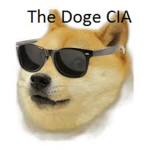 The Doge CIA