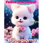 Cuore D'oro e VirGOLA