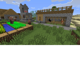 Village