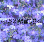 ~•A N G E L S •~