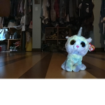 Unicat club (rainbow elements)