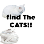 Find All Cats