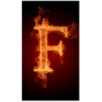 Frags Studios