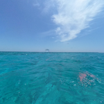 Last Frontier of Concordia