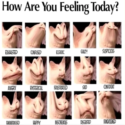 how r u feeling today