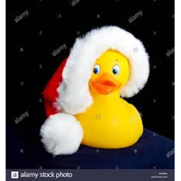 duckie gang :P's Place Number: 2