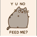 Pusheen ################ Squad