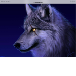 The wolf pack of boys and girls