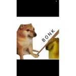 Doge team 9273