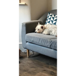 vonnyas couch