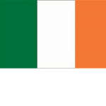 Real Irish Republicans