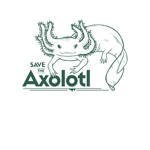 Save The Axolotl's From Extinction