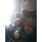 Roblox fan club1234