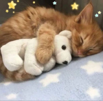 sleepyheads [WCUE]