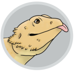 I Bearded dragon club I