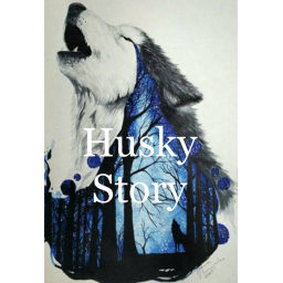 Husky Story