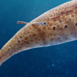 Tully Monster Empire