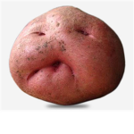 Potato Rehabilitation Center