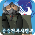 Air Combat Command 空中戰鬪司令部