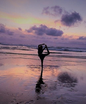 ~star night gymnastes~