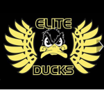 The Elite Ducks United Group!!!!!!!!!!!!!!!!!!!
