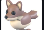 COYOTE_GAMES!