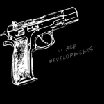 45ACP Developments LLC