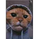 46_DK