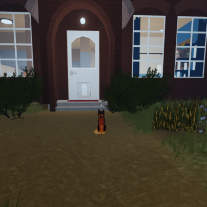 outside kittypets Roblox decal