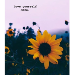 Sunflowers r us!