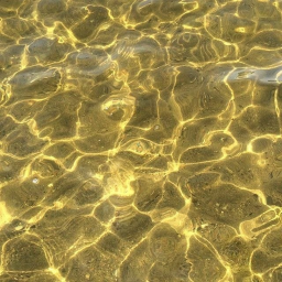 ~🌻~