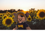 Aesthetix Sunflowers