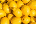 Timidlemon inc.
