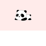 Panda shop(enjoy)