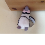 Little Penguins