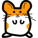 teddy bear hamsters
