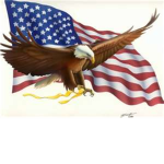 American Hawks