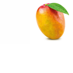 The Mango tu tu tu's