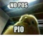 Salu2