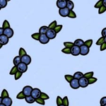 Blueberry group! <3